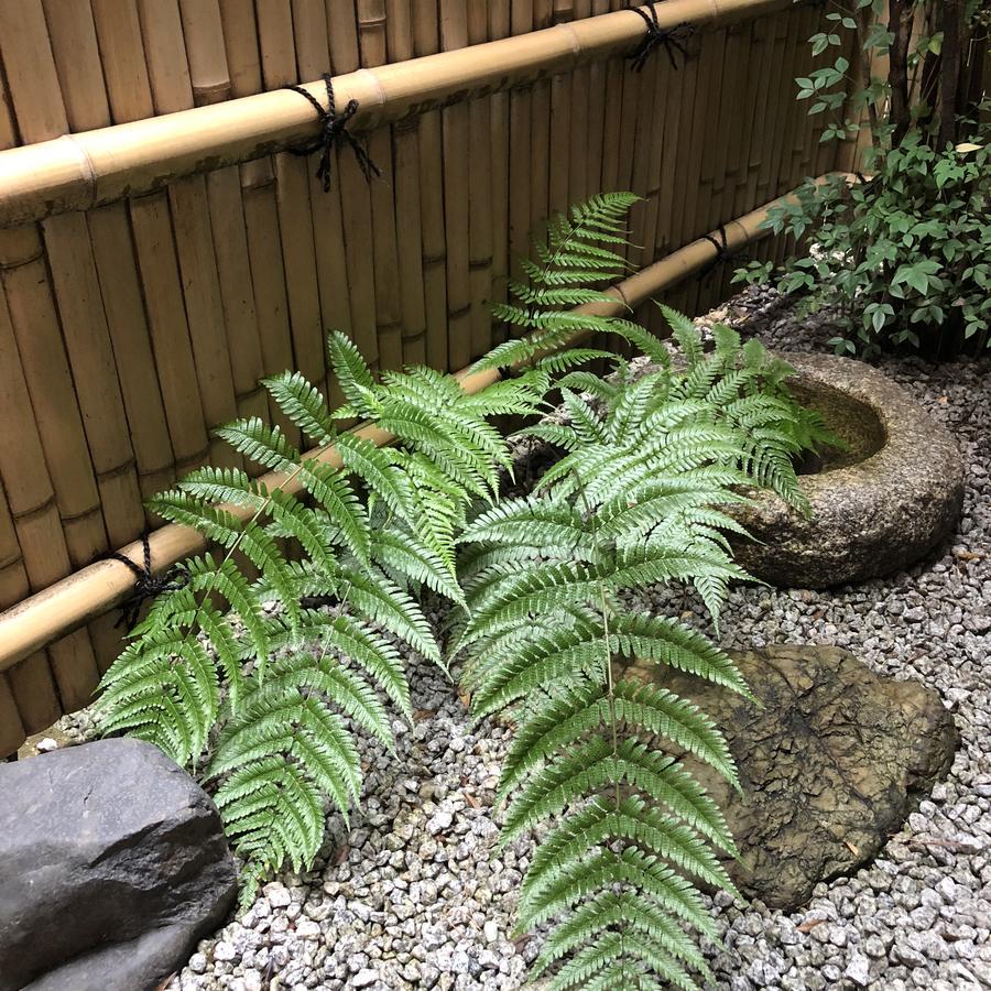 Naokonoza Omiya Gojo Villa Kyoto Ngoại thất bức ảnh