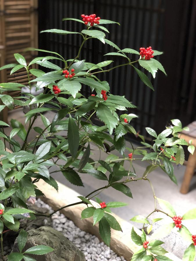 Naokonoza Omiya Gojo Villa Kyoto Ngoại thất bức ảnh